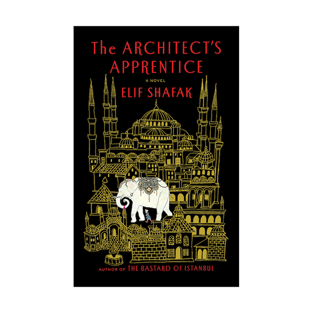 کتاب The Architect's Apprentice