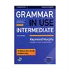 english grammar in use elementary fourth edition