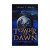throne of glass series tower of dawn