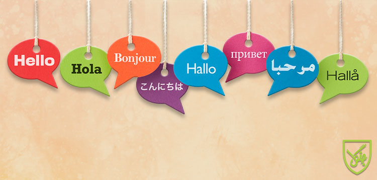 افراد چند زبانه در مقایسه با کسانی‌که یک زبان می‌دانند