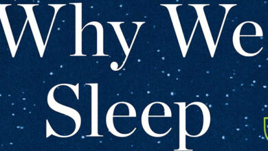 معرفی کتاب Why We Sleep