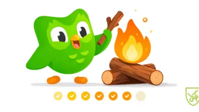 فریز استیک دولینگو