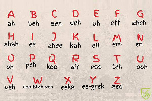 یادگیری زبان فرانسه