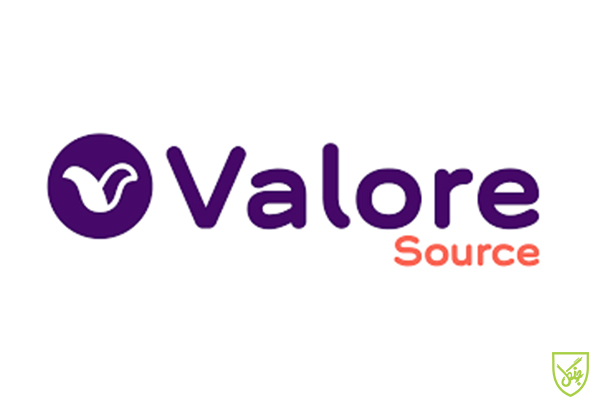 سایت فروش اینترنتی کتاب  Valore Books