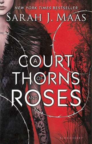 کتاب A Court of Thorns and Roses 1