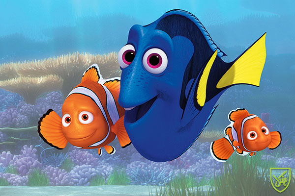 آموزش زبان انگلیسی با انیمیشن Nemo نمو